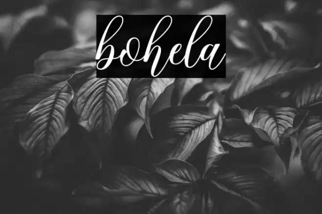 bohela Font examples