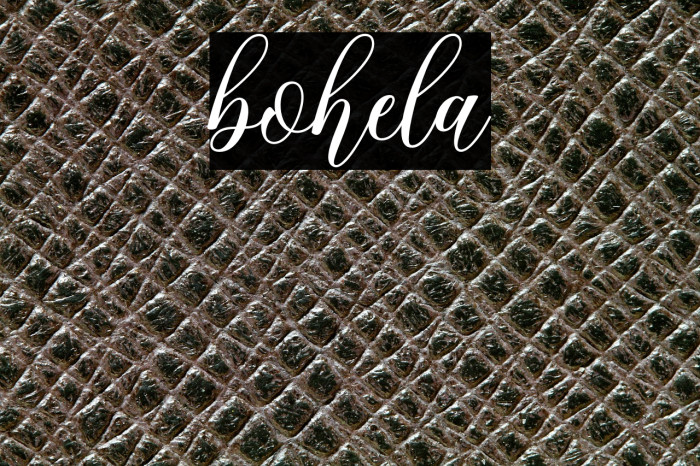 bohela Example 2