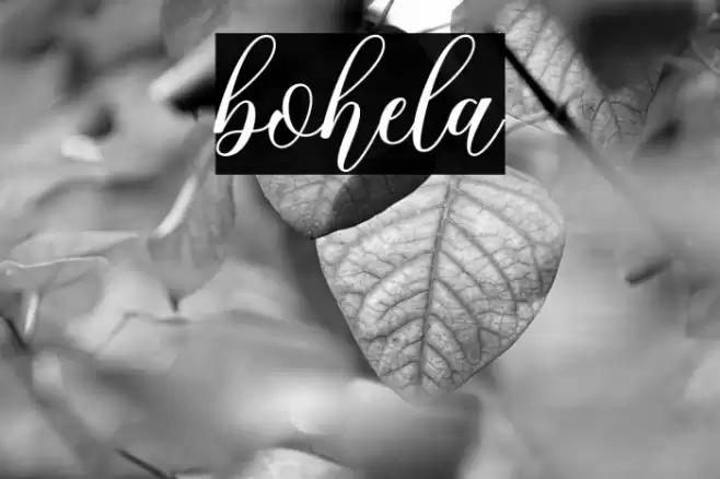 bohela Font examples