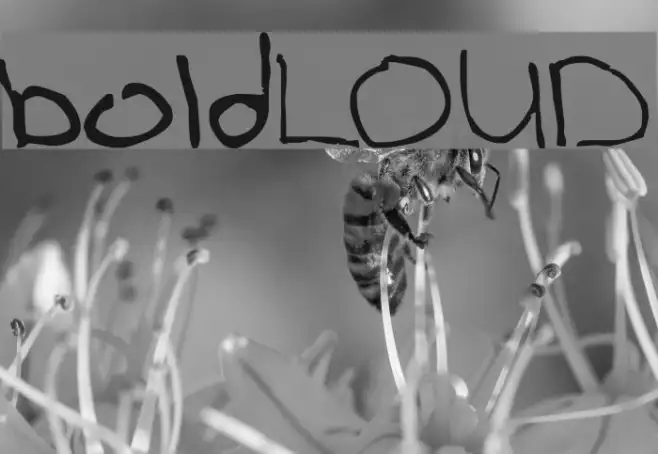 boldLOUD Example 2