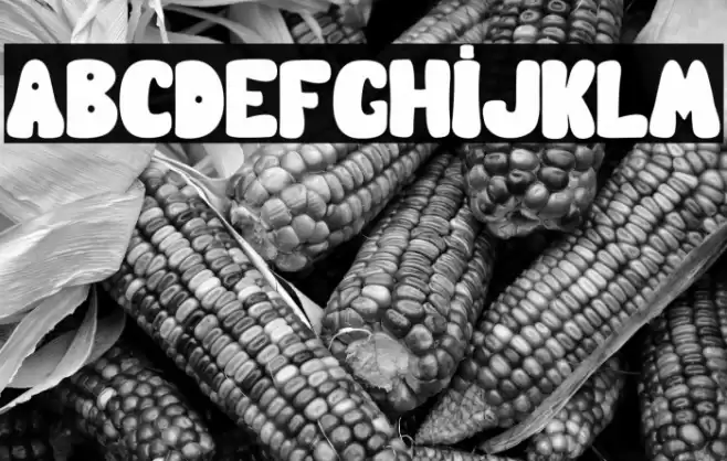 boldita school Font examples