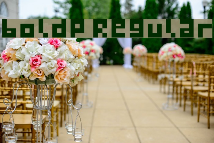 boldp Regular Example 3