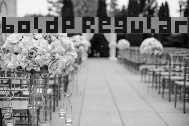 boldp Regular Font examples