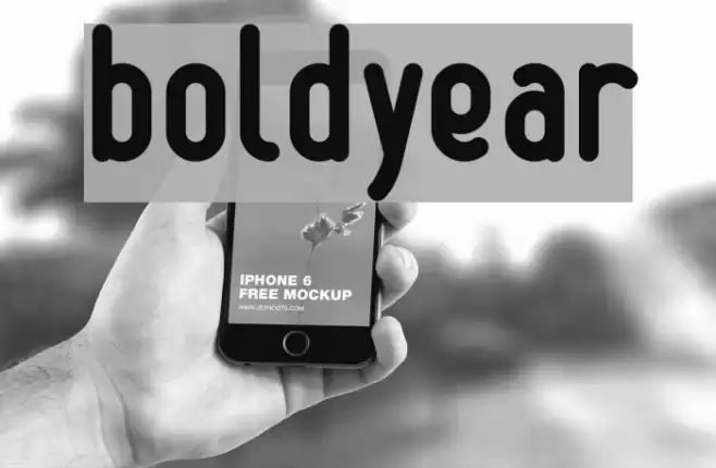 boldyear Font examples