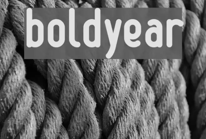boldyear Font examples