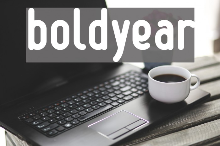 boldyear Font examples