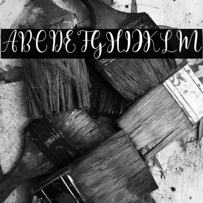 bolyvina Font examples