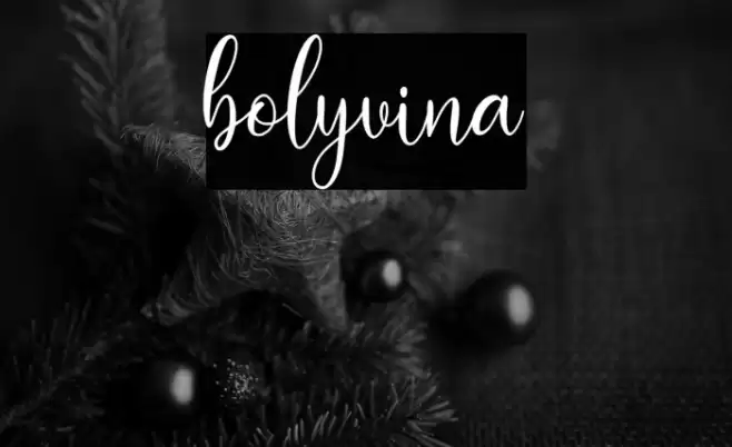 bolyvina Font examples