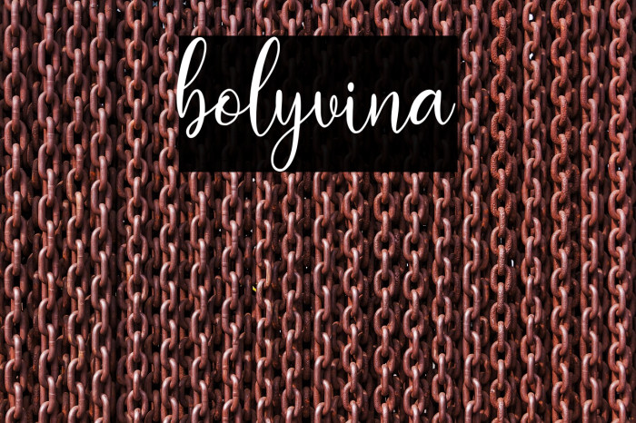 bolyvina Example 2