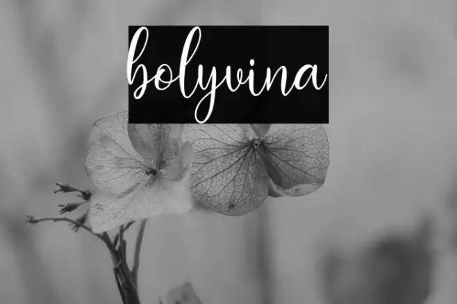 bolyvina Font examples