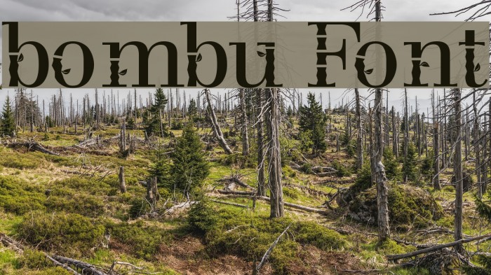 bombu Font examples