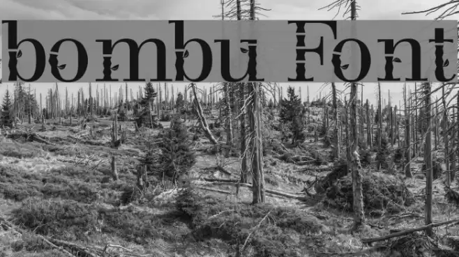 bombu Font examples