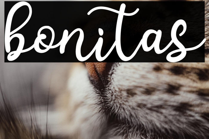 bonitas خط examples