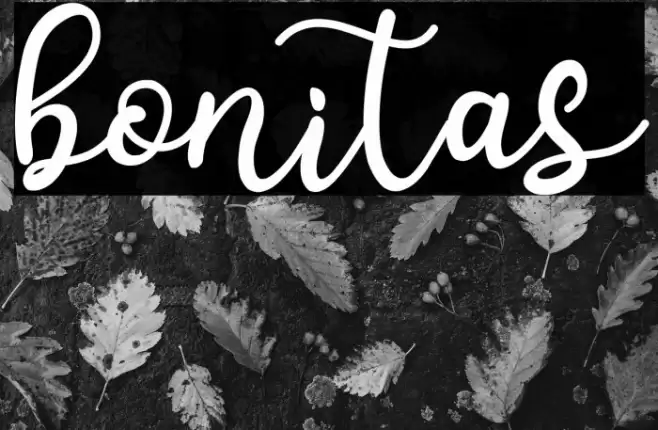bonitas Font examples