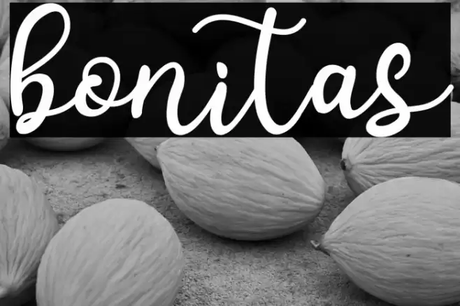 bonitas Font examples