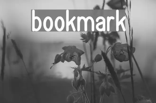 bookmark Font examples