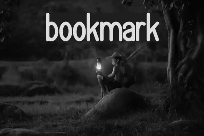 bookmark  examples