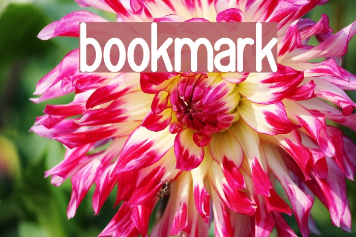 bookmark Font examples