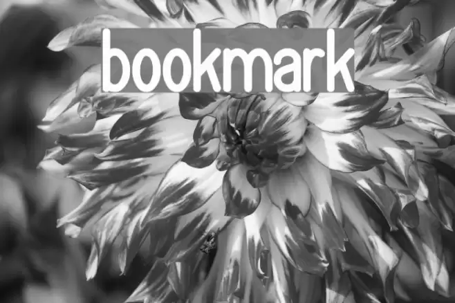 bookmark  examples