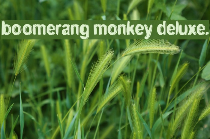 boomerang monkey deluxe. フォント examples
