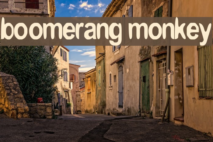 boomerang monkey Font examples