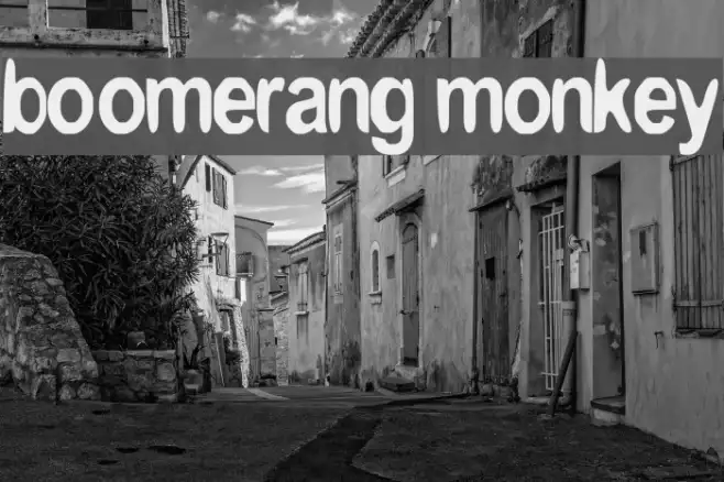 boomerang monkey Example 1
