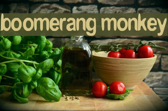 boomerang monkey Font examples