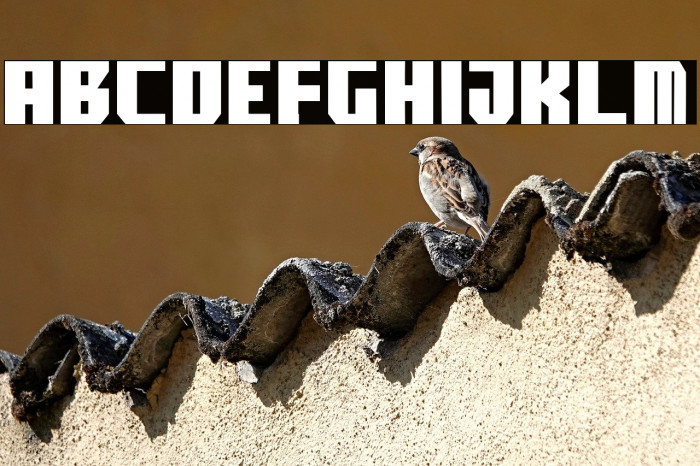 boomface pg Example 2