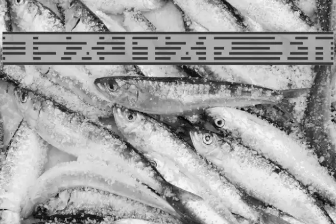 border7Kat Font examples