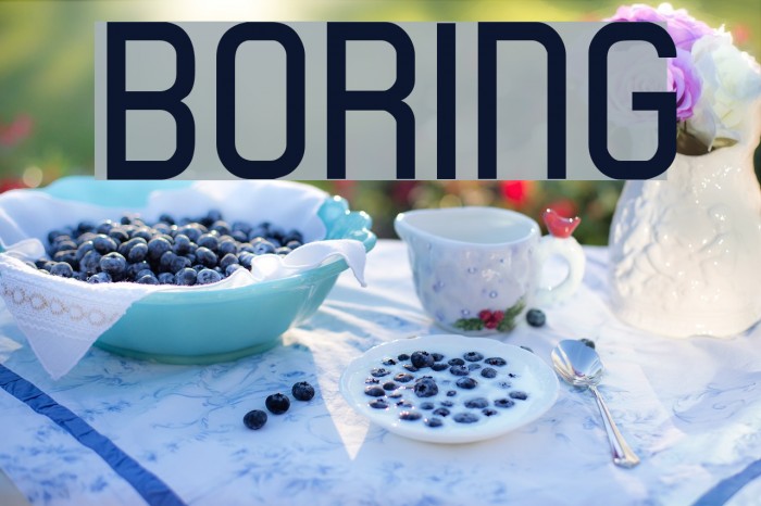 boring Font examples