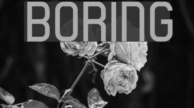 boring Font examples