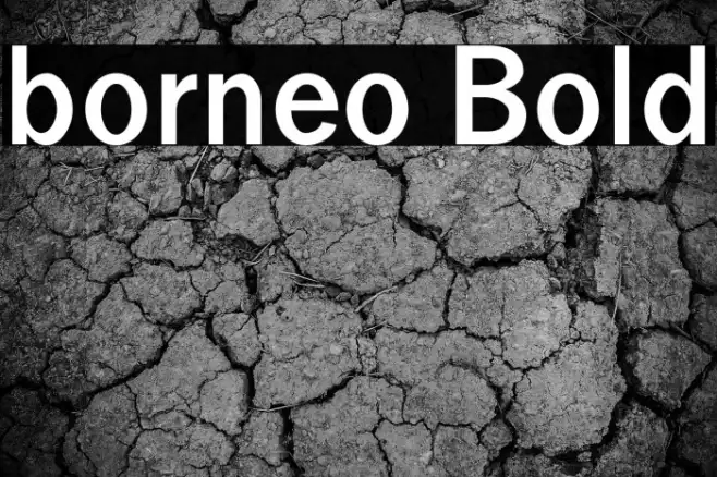 borneo Bold Example 1