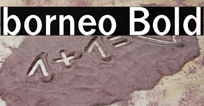 borneo Bold Example 2