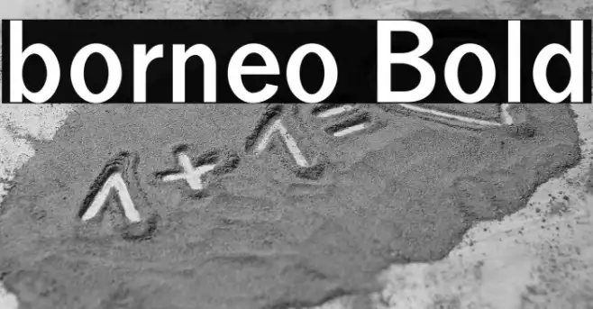 borneo Bold Example 2