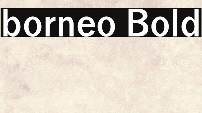 borneo Bold Example 3
