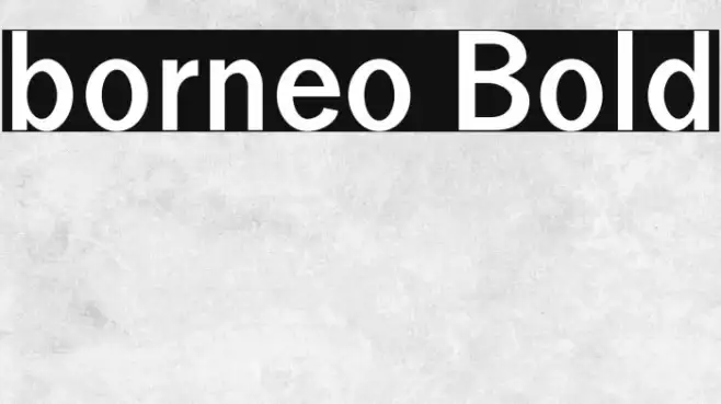 borneo Bold Example 3
