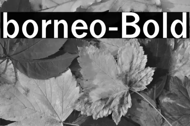 borneo-Bold Font examples