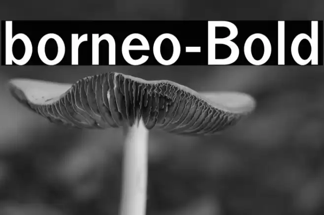 borneo-Bold Font examples