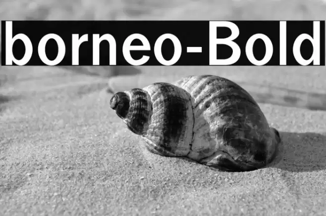 borneo-Bold Font examples