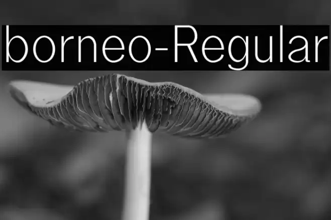 borneo-Regular Font examples