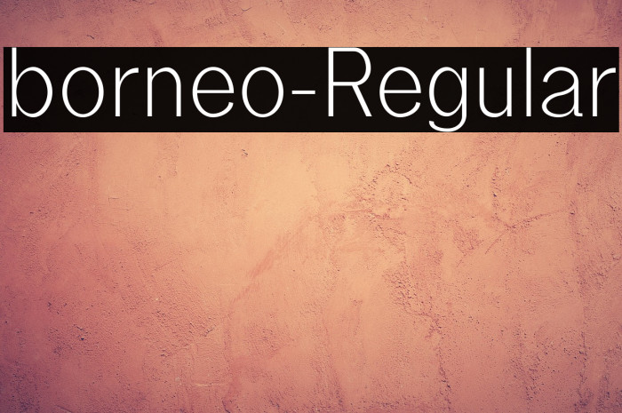 borneo-Regular Example 2