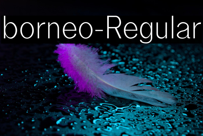 borneo-Regular Example 3