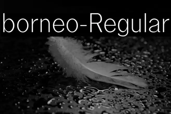 borneo-Regular Font examples