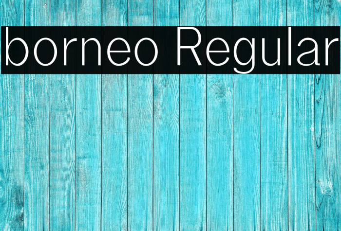 borneo Regular Example 1