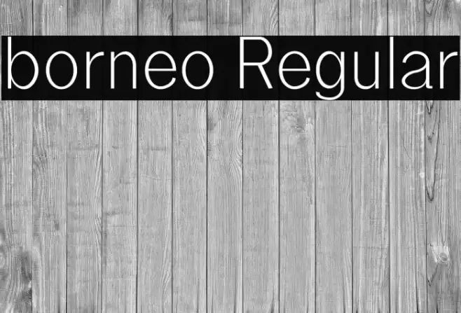 borneo Regular Font examples