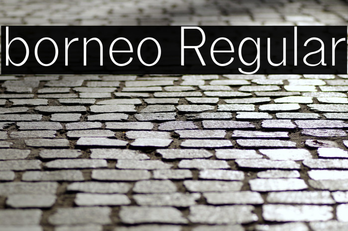 borneo Regular Example 2