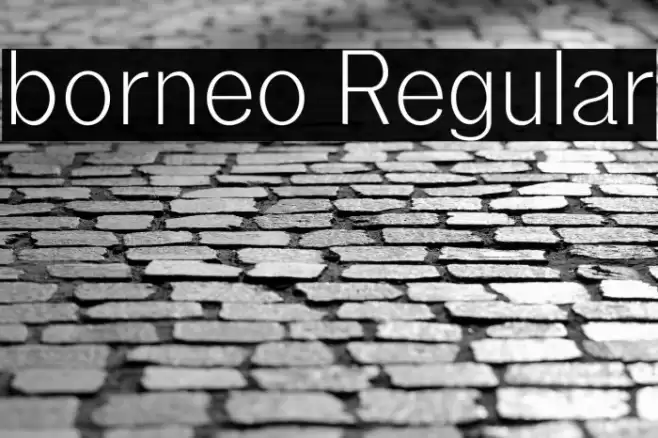 borneo Regular Font examples
