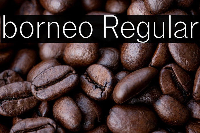 borneo Regular Example 3