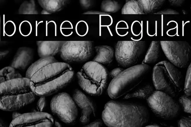 borneo Regular Font examples