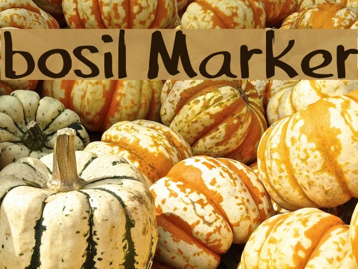 bosil Marker Font examples